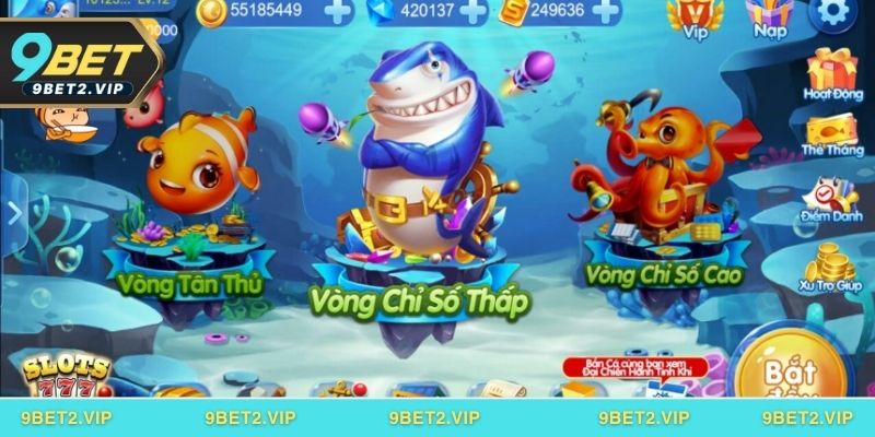 Hướng dẫn cách tham gia chơi săn cá ONEBET