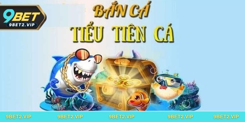 FAQ – Những câu hỏi thường gặp khi chơi Bắn cá Tiểu Tiên Cá tại 9BET