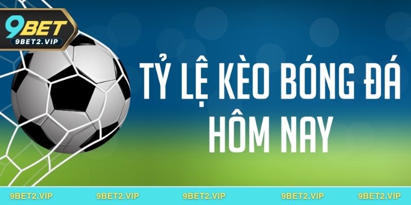 Điểm qua những loại hình phổ biến kịch tính hàng đầu hiện tại