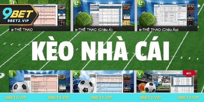 Bí kíp đọc kèo chuẩn xác mà newbie cần học hỏi kỹ