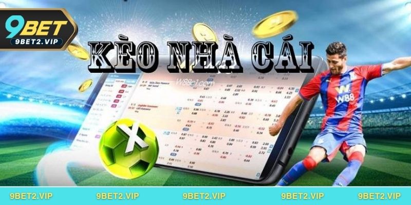 Làm thế nào để chọn ván độ hiệu quả ở kèo tỷ lệ nhà cái?