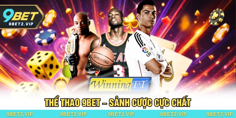 Sảnh thể thao cập nhật hơn 500 trận đấu mỗi ngày