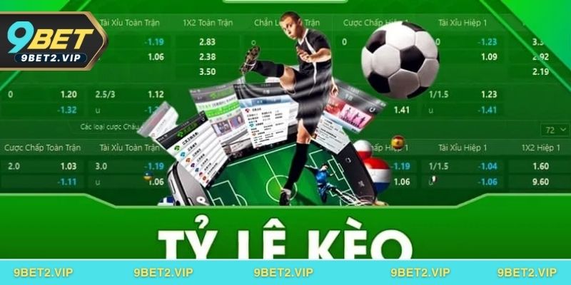 Vai trò của tỷ lệ kèo bóng trong cá cược bóng đá