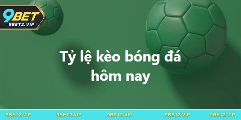 Các loại tỷ lệ kèo bóng phổ biến nhất hiện nay