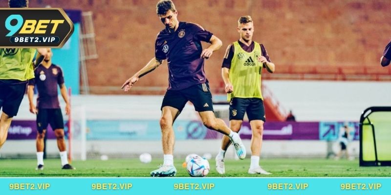 Kinh nghiệm lựa chọn nhà cái có tỷ lệ kèo bóng chuẩn xác